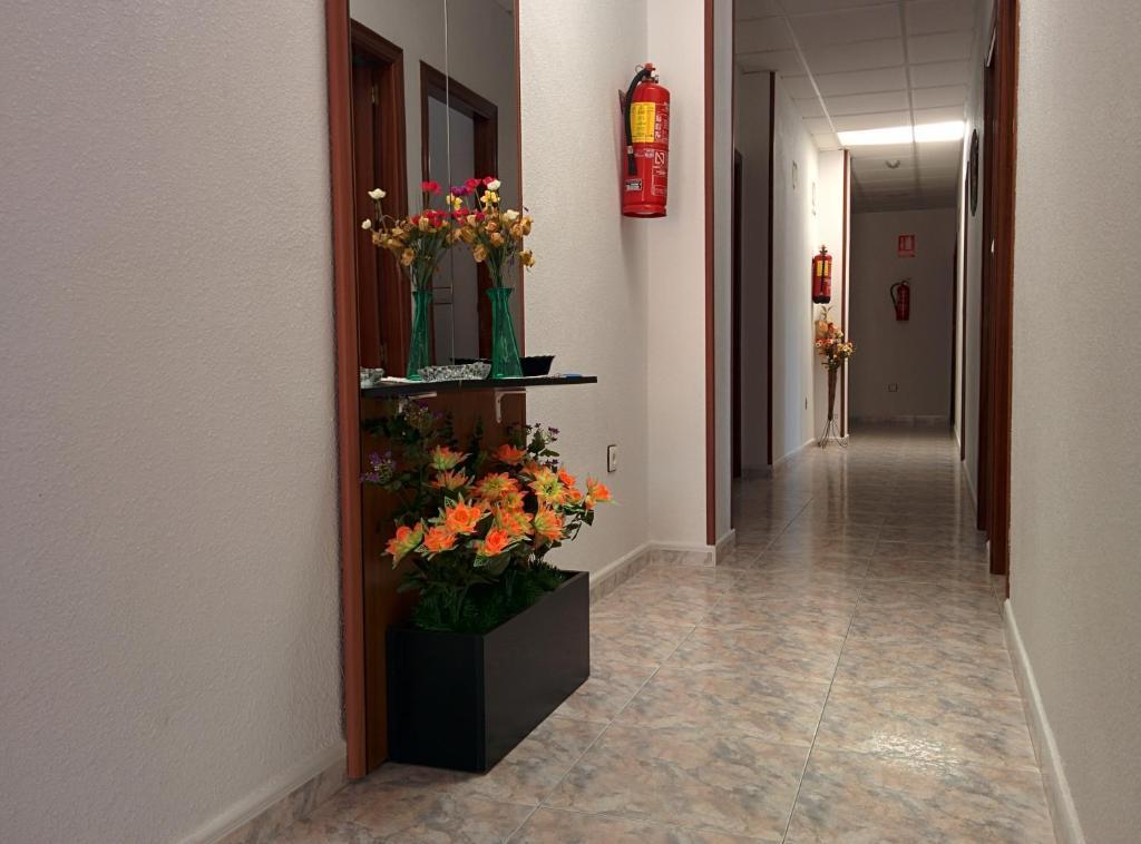 Pension Egea II El Puerto de Mazarrón Dış mekan fotoğraf